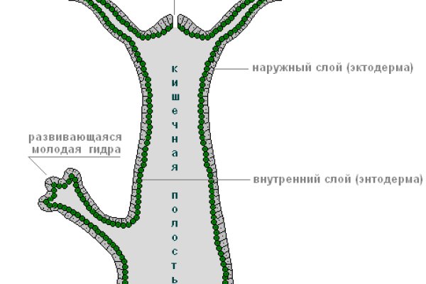 Пользователь не найден кракен