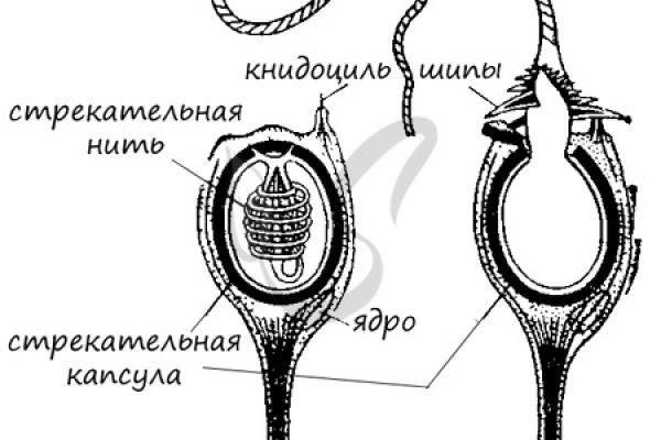 Ссылка кракен через тор