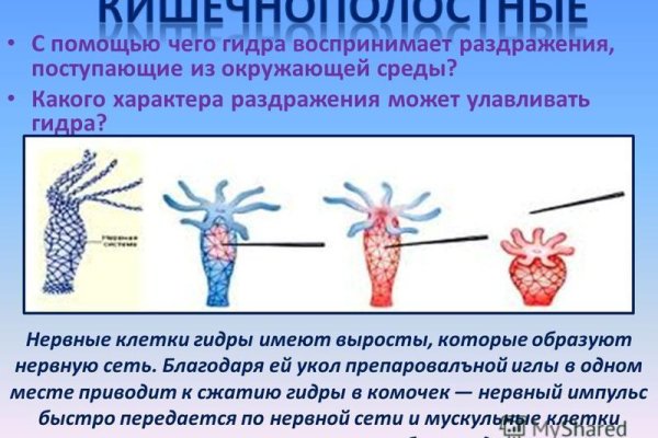 Актуальное зеркало на кракен