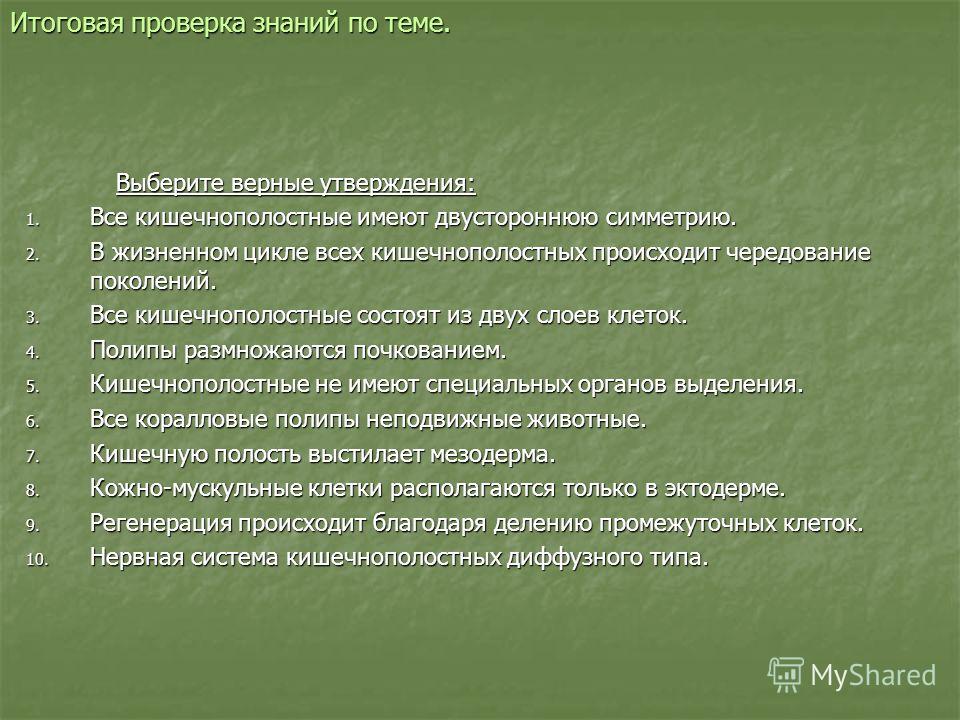 Kraken даркнет gigageek ru